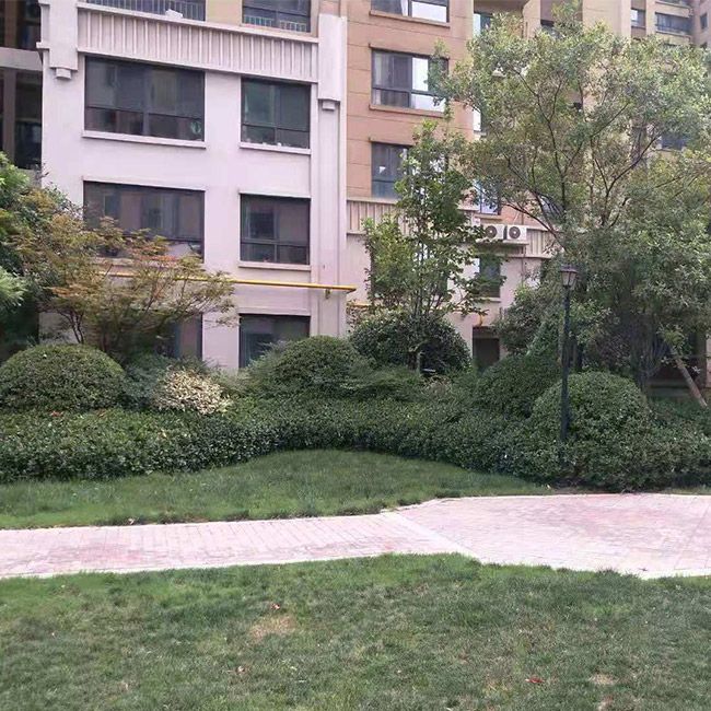 小區綠化施工設計及養護