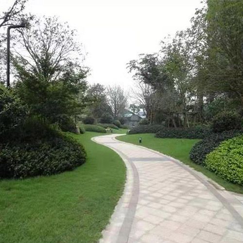 小區綠化施工設計及養護